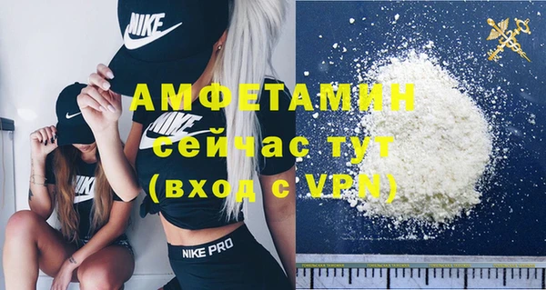 стафф Алзамай