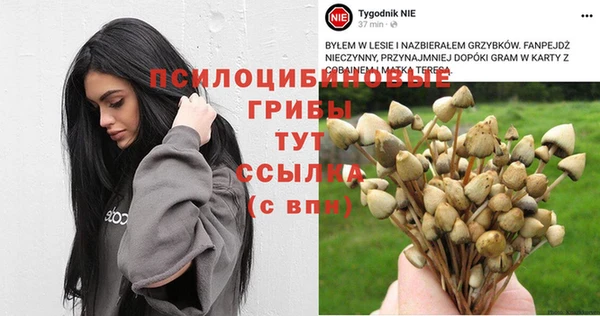 стафф Алзамай