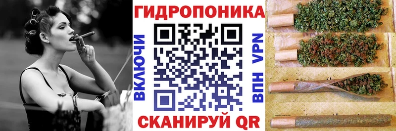 Каннабис план  купить  цена  гидра ONION  Салехард 